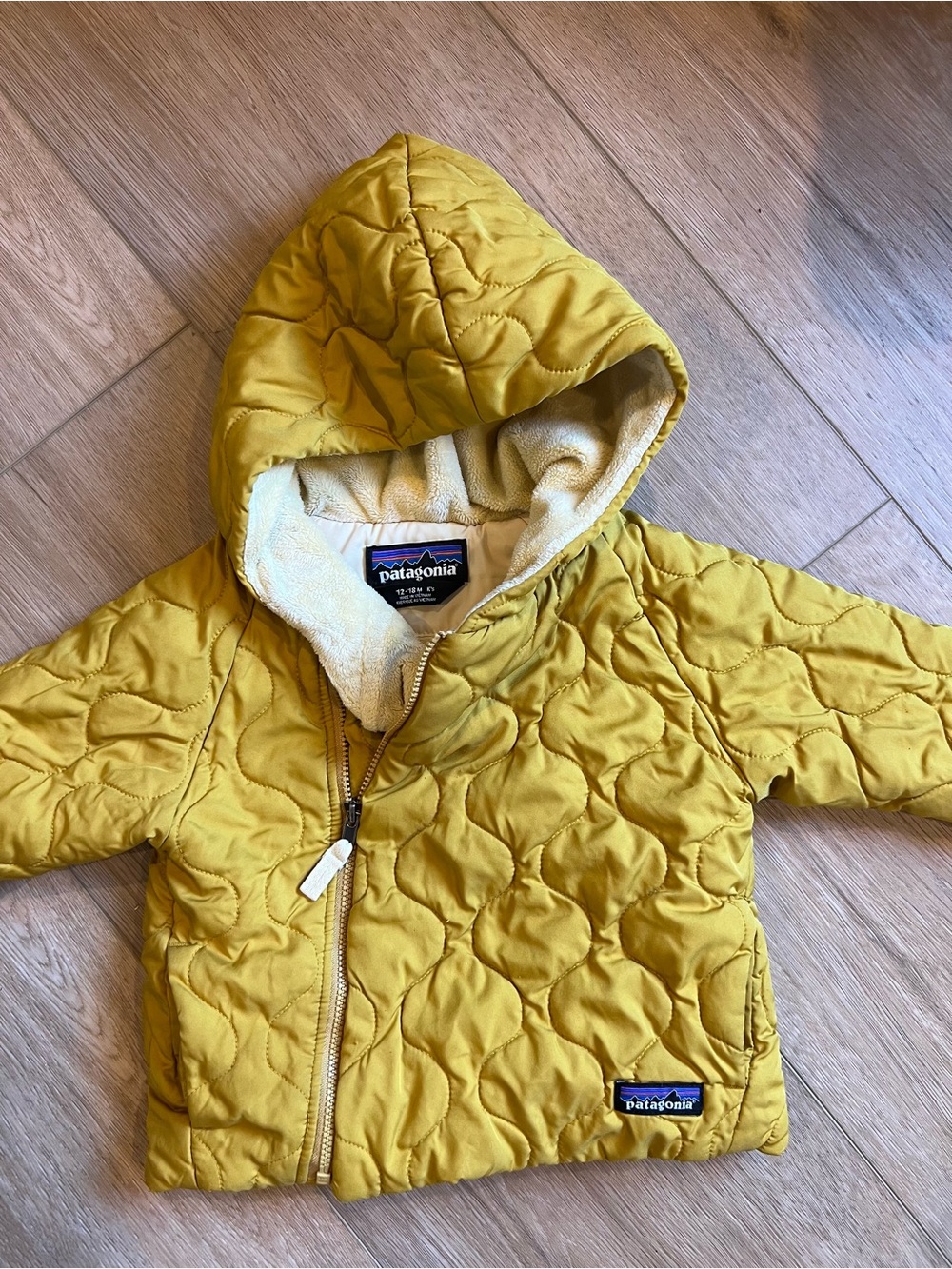 Patagonia 12 month Hooded Jacket
